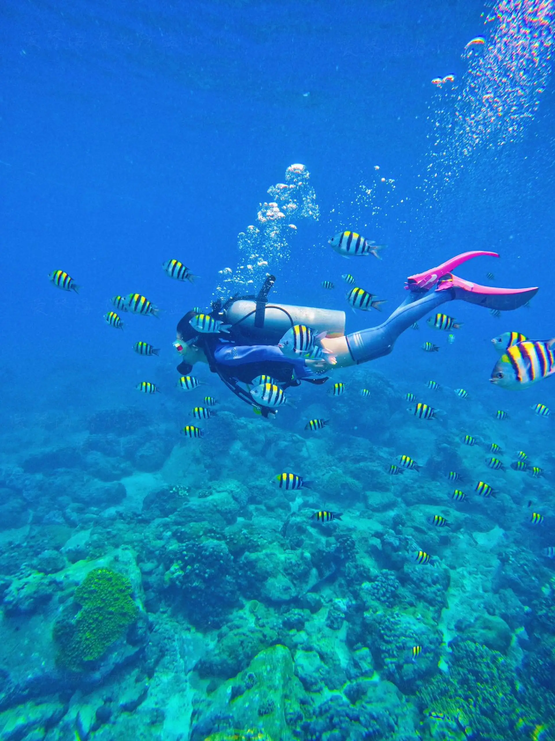 三亚爱琴海潜水｜本人强烈推荐